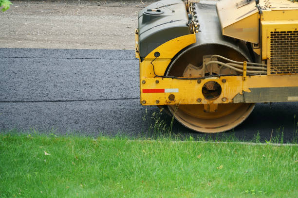 Best Custom Driveway Pavers  in Devine, TX