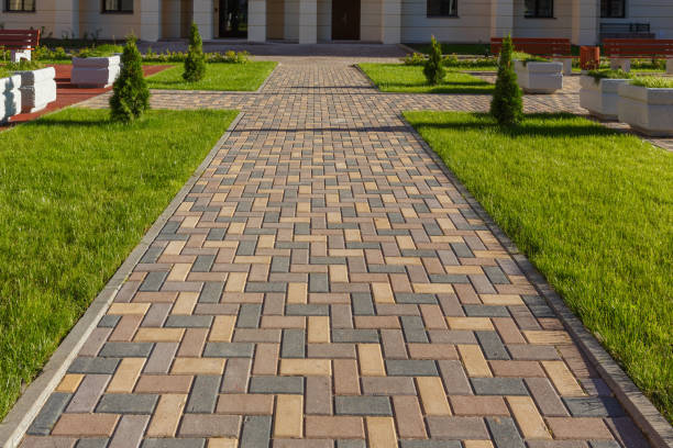 Best Driveway Paver Sealing  in Devine, TX